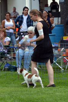 Enlarge photo 105