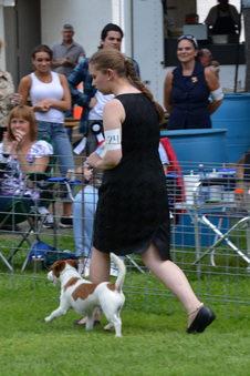 Enlarge photo 104