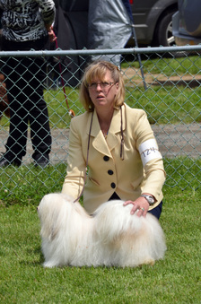 Enlarge photo 101