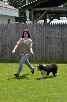 Enlarge photo 84