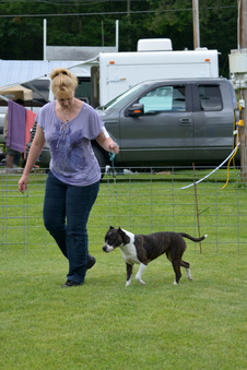 Enlarge photo 44