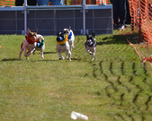 Enlarge photo 92