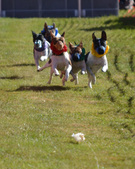 Enlarge photo 89