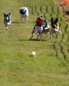 Enlarge photo 86