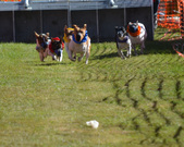 Enlarge photo 72
