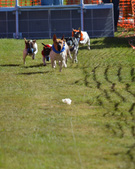 Enlarge photo 70