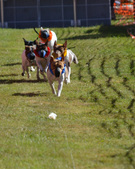 Enlarge photo 68