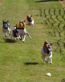 Enlarge photo 65