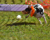Enlarge photo 46