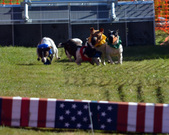Enlarge photo 36