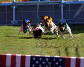 Enlarge photo 35