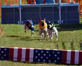Enlarge photo 34