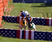Enlarge photo 29