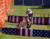 Enlarge photo 28