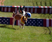 Enlarge photo 27