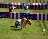 Enlarge photo 26