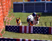 Enlarge photo 21