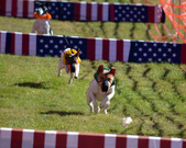 Enlarge photo 17