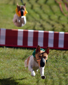 Enlarge photo 14