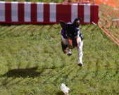 Enlarge photo 5