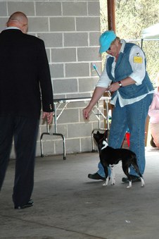 Enlarge photo 12