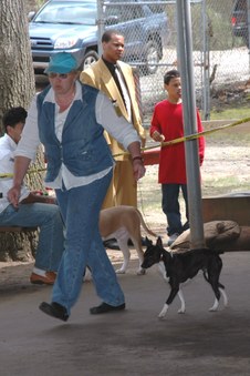 Enlarge photo 9