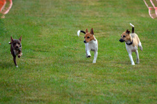 Enlarge photo 99
