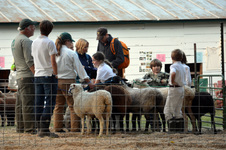 Enlarge photo 89