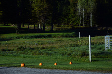 Enlarge photo 70
