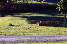 Enlarge photo 69