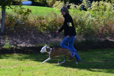 Enlarge photo 66