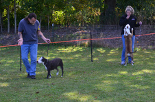 Enlarge photo 64