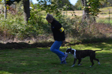 Enlarge photo 63