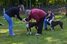 Enlarge photo 58