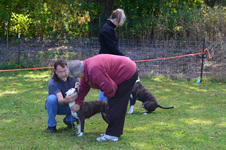 Enlarge photo 54