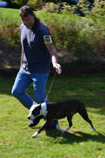 Enlarge photo 52