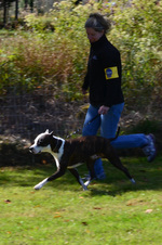 Enlarge photo 50