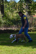 Enlarge photo 49