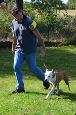 Enlarge photo 47