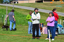 Enlarge photo 42