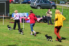 Enlarge photo 41