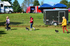 Enlarge photo 39