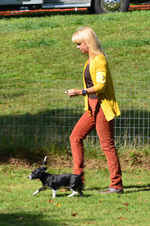 Enlarge photo 37