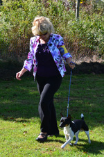 Enlarge photo 30