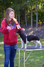 Enlarge photo 26