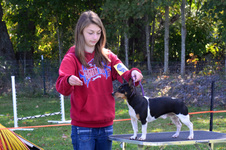 Enlarge photo 24