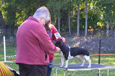 Enlarge photo 22