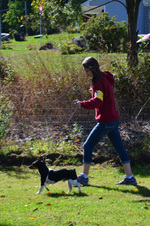Enlarge photo 19