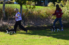 Enlarge photo 13