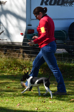 Enlarge photo 5